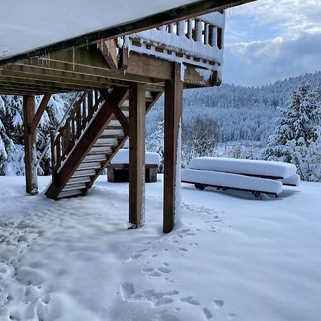 Chalet Situe Au Grand Valtin Villa Ban-sur-Meurthe-Clefcy Eksteriør billede