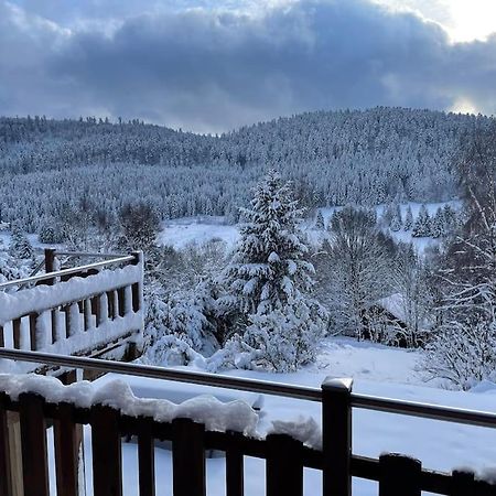Chalet Situe Au Grand Valtin Villa Ban-sur-Meurthe-Clefcy Eksteriør billede