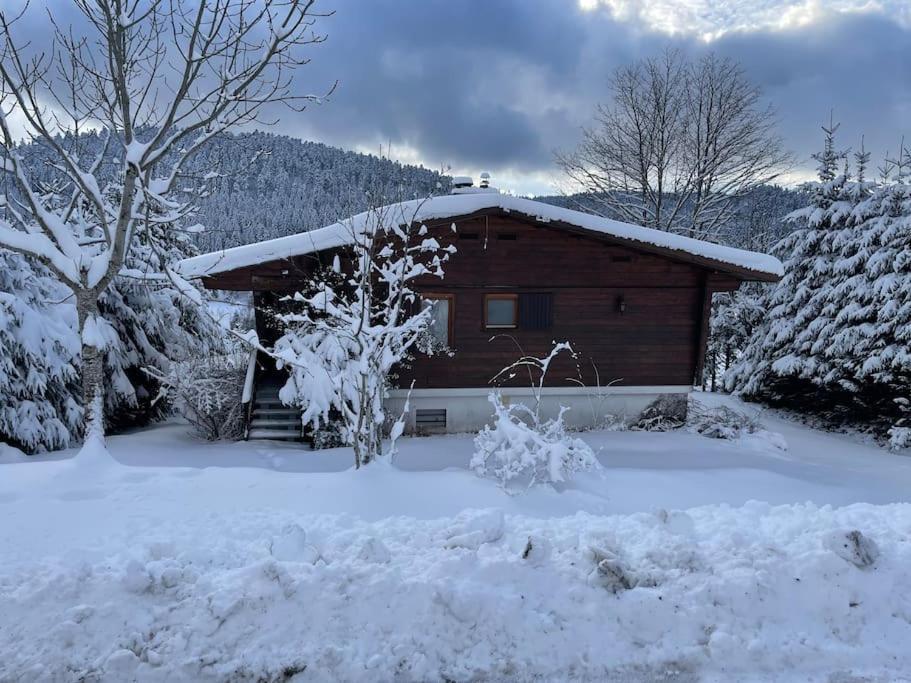 Chalet Situe Au Grand Valtin Villa Ban-sur-Meurthe-Clefcy Eksteriør billede