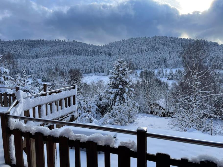 Chalet Situe Au Grand Valtin Villa Ban-sur-Meurthe-Clefcy Eksteriør billede